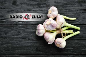 Frischer Knoblauch regional - Radio ZuSa berichtet